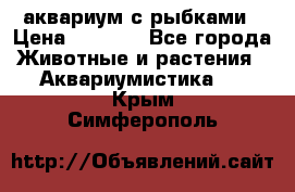 аквариум с рыбками › Цена ­ 1 000 - Все города Животные и растения » Аквариумистика   . Крым,Симферополь